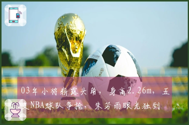 03年小将崭露头角，身高2.26m，五支NBA球队争抢，朱芳雨眼光独到