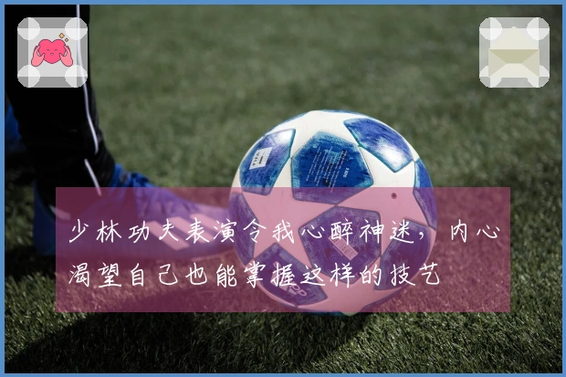 少林功夫表演令我心醉神迷，内心渴望自己也能掌握这样的技艺